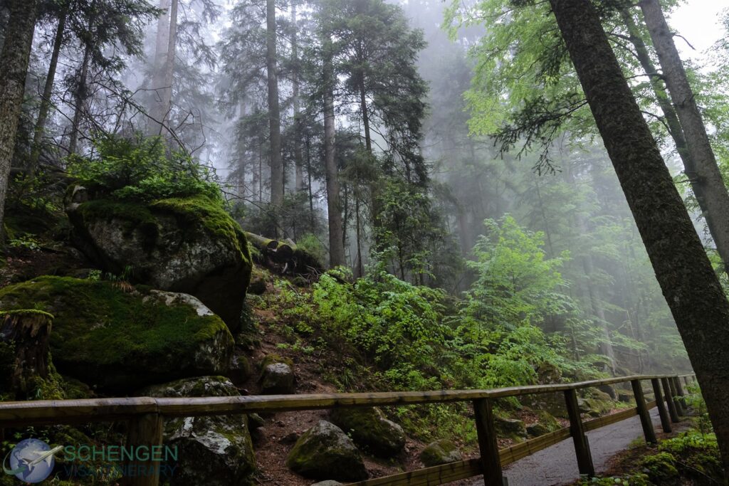 The Black Forest Germany - www.SchengenVisaItinerary.com